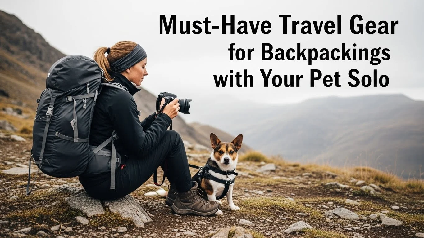 Must-Have Travel Gear for Backpacking with Your Pet Solo